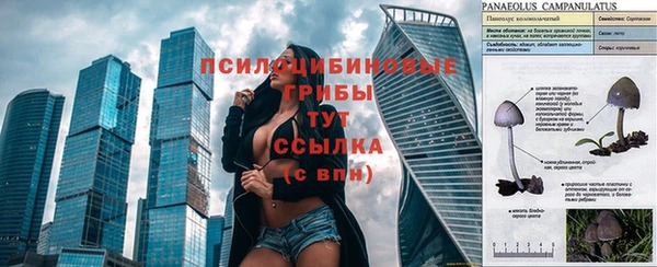 тгк Аркадак