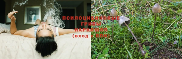 ALPHA PVP Армянск