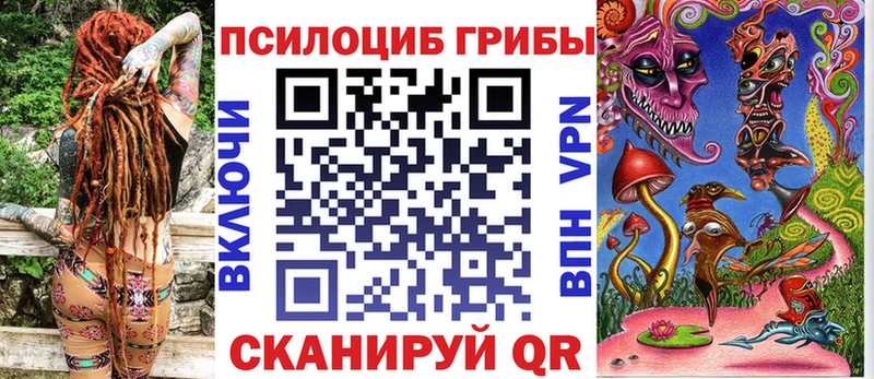 Купить где Сунжа Псилоцибиновые грибы Psilocybe